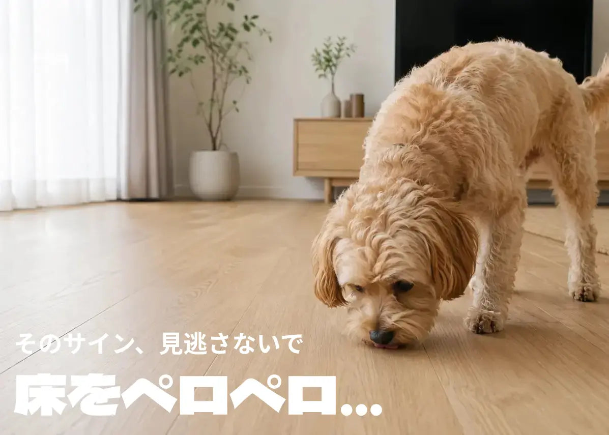 愛犬が床をなめるのはなぜ？5つの原因・対策と受診の目安