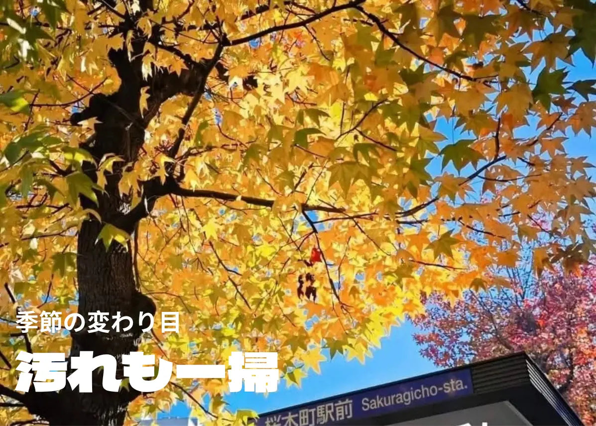 秋分の日にするべき掃除とは？伝統行事と現代の便利家電