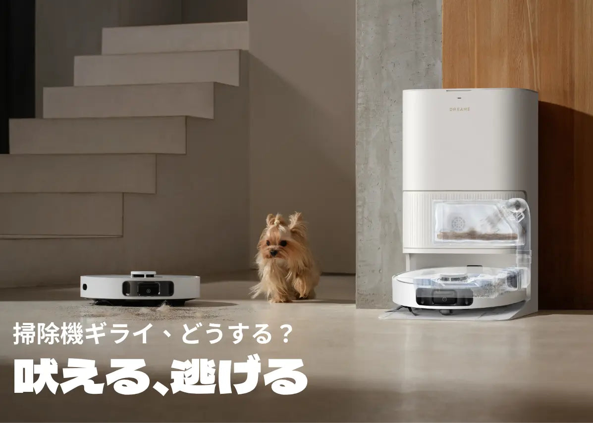 掃除機を出すと愛犬が逃げる？怖がる4つの理由と無理なく慣らすコツ