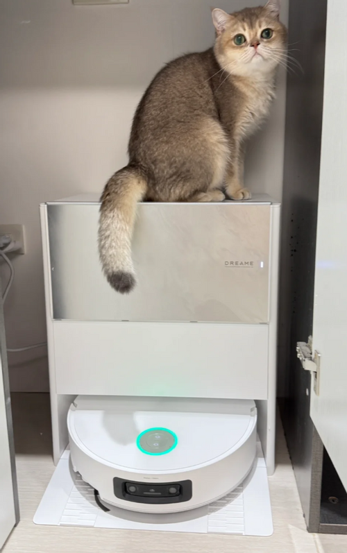伊****