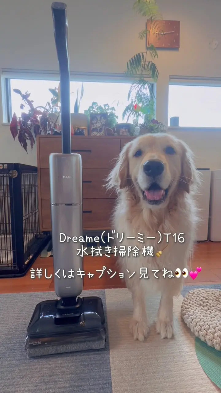 T16 水拭き掃除機